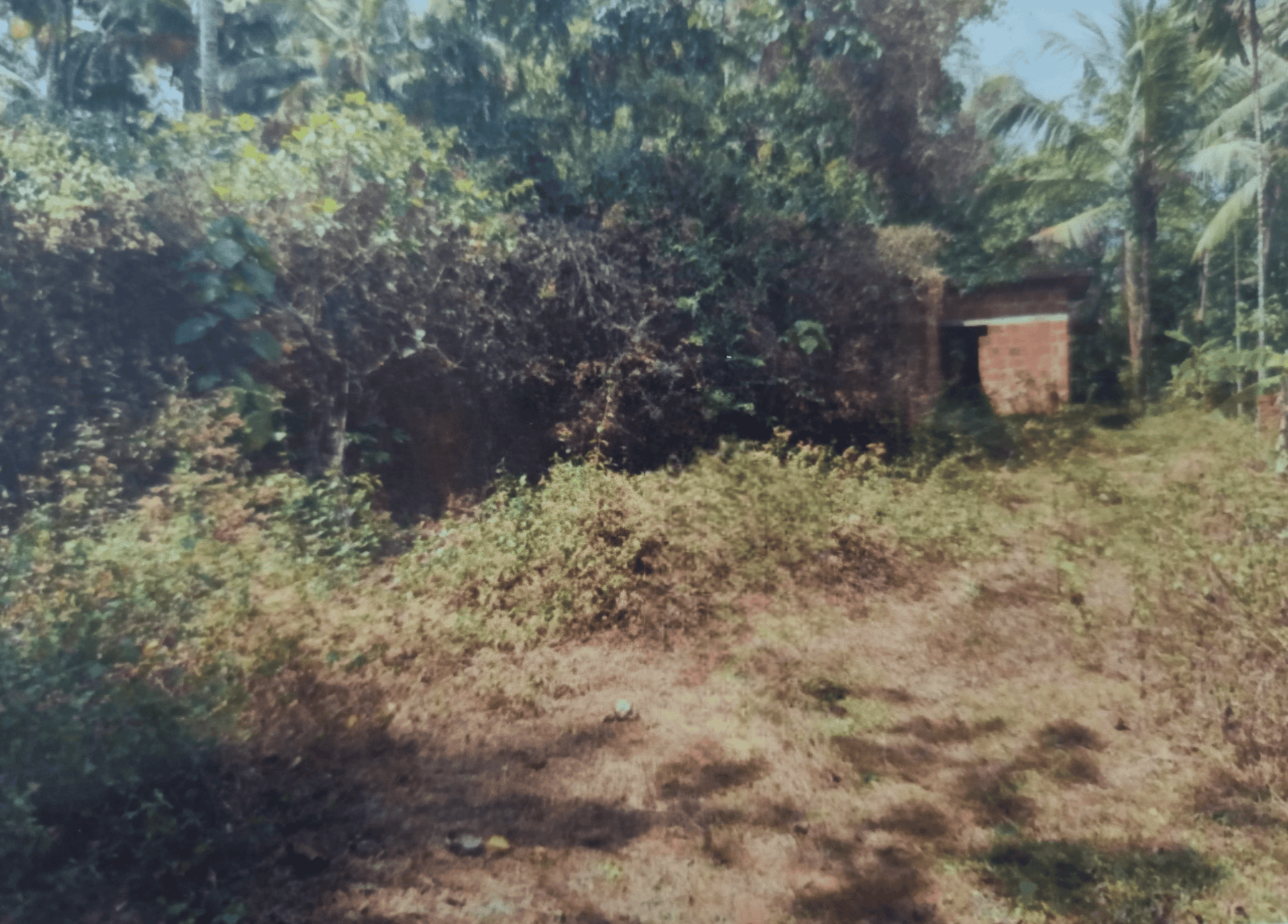 Property Photos 5