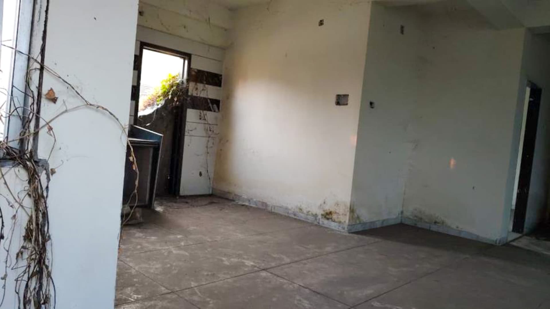 Property Photos 3