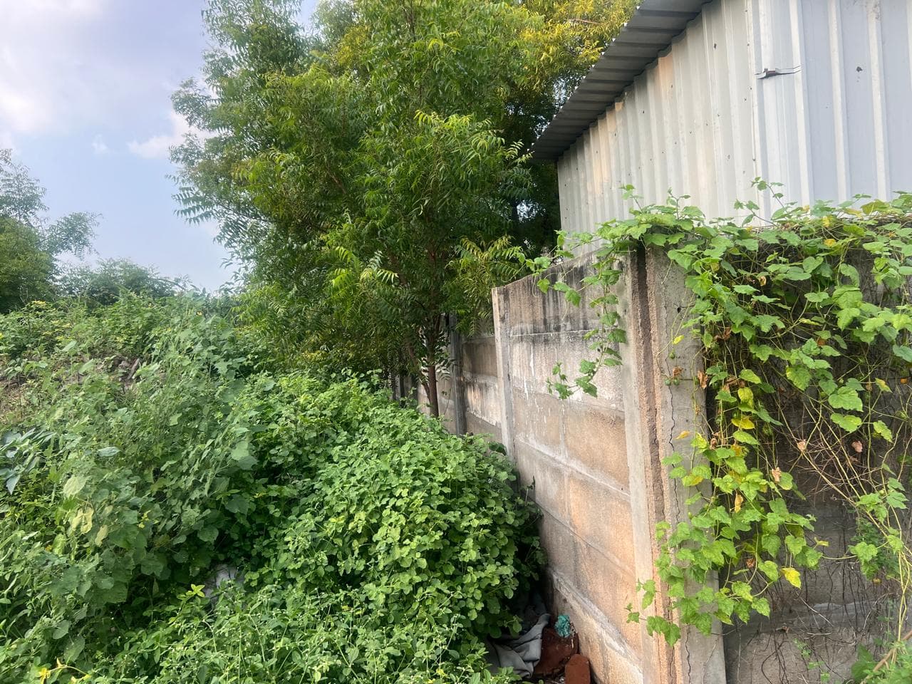 Property Photos 9
