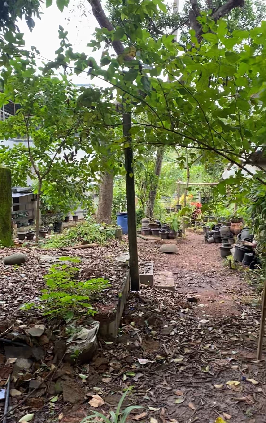 Property Photos 2