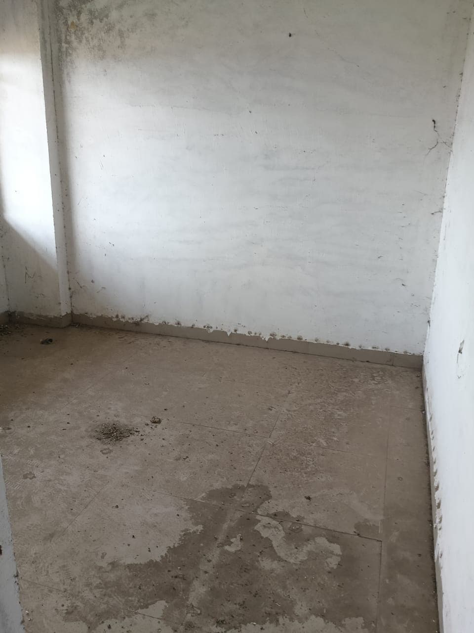 Property Photos 8