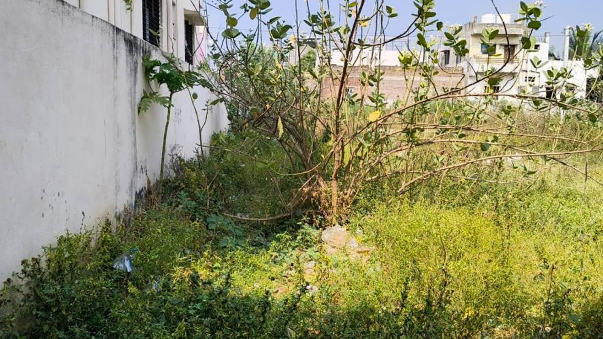 Property Photos 43