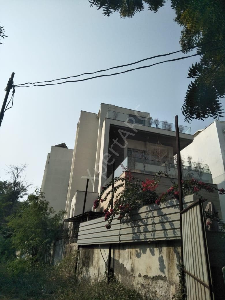 Property Photos 2