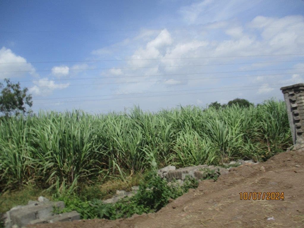 Property Photos 4