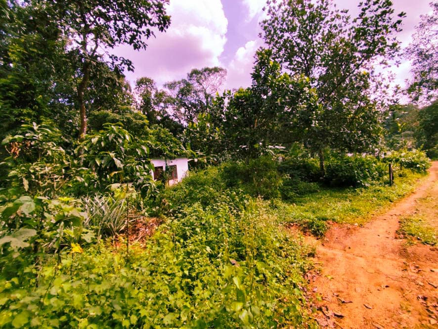 Property Photos 7