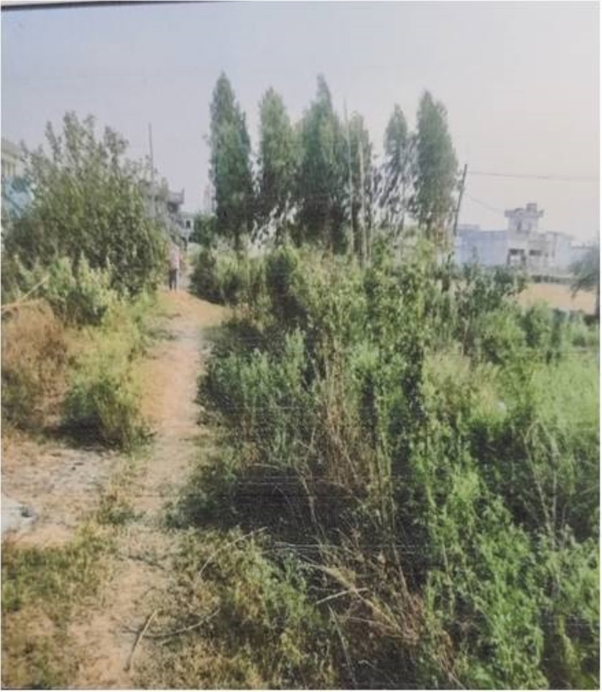 Property Photos 2