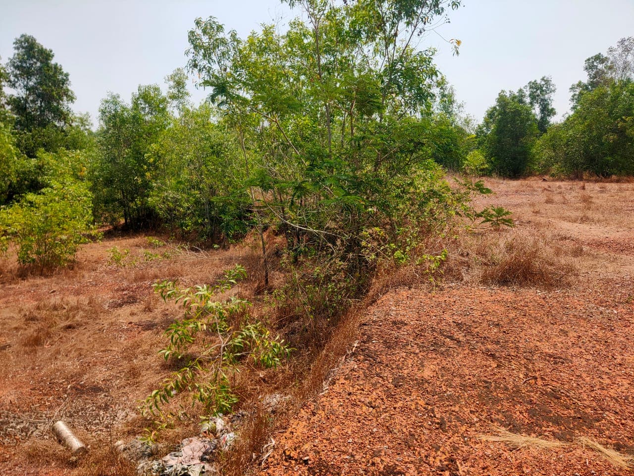 Property Photos 6