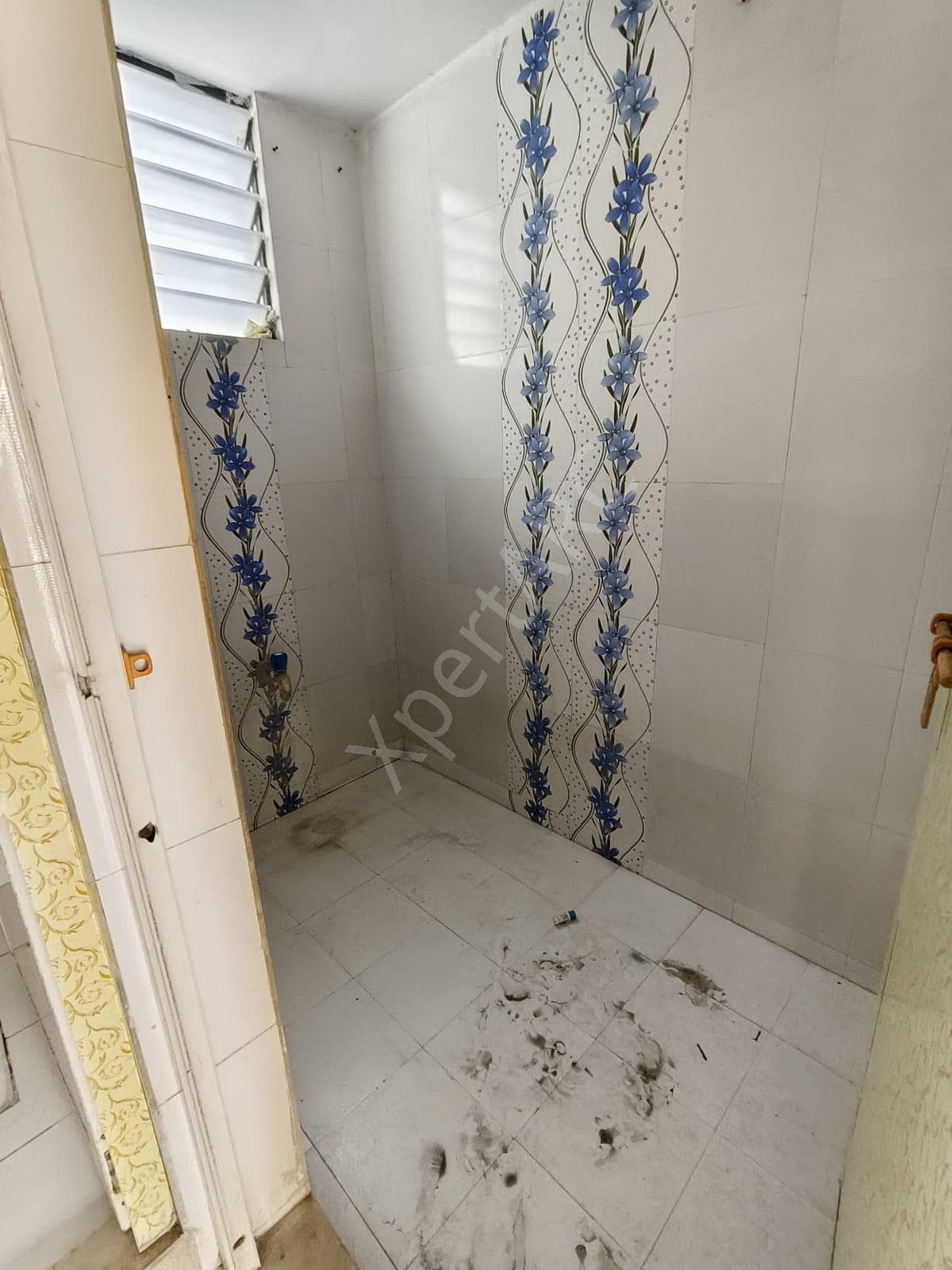 Property Photos 17