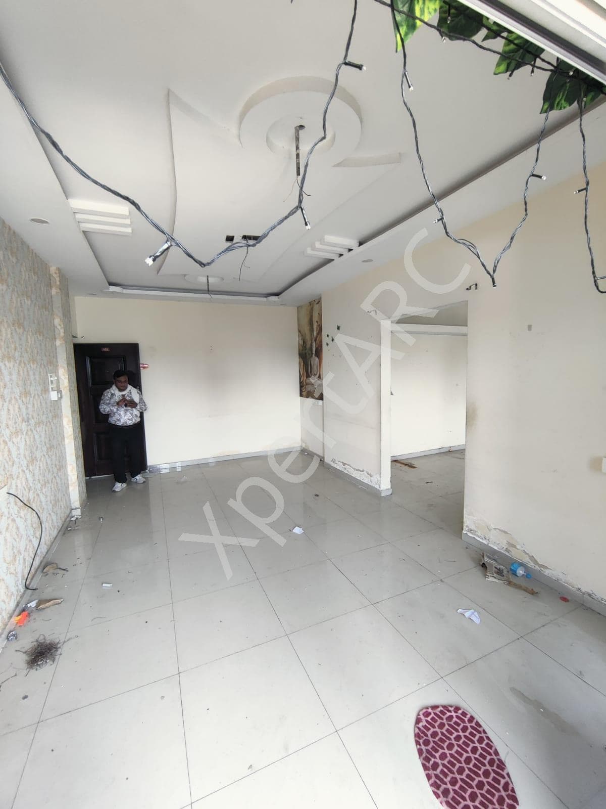 Property Photos 17
