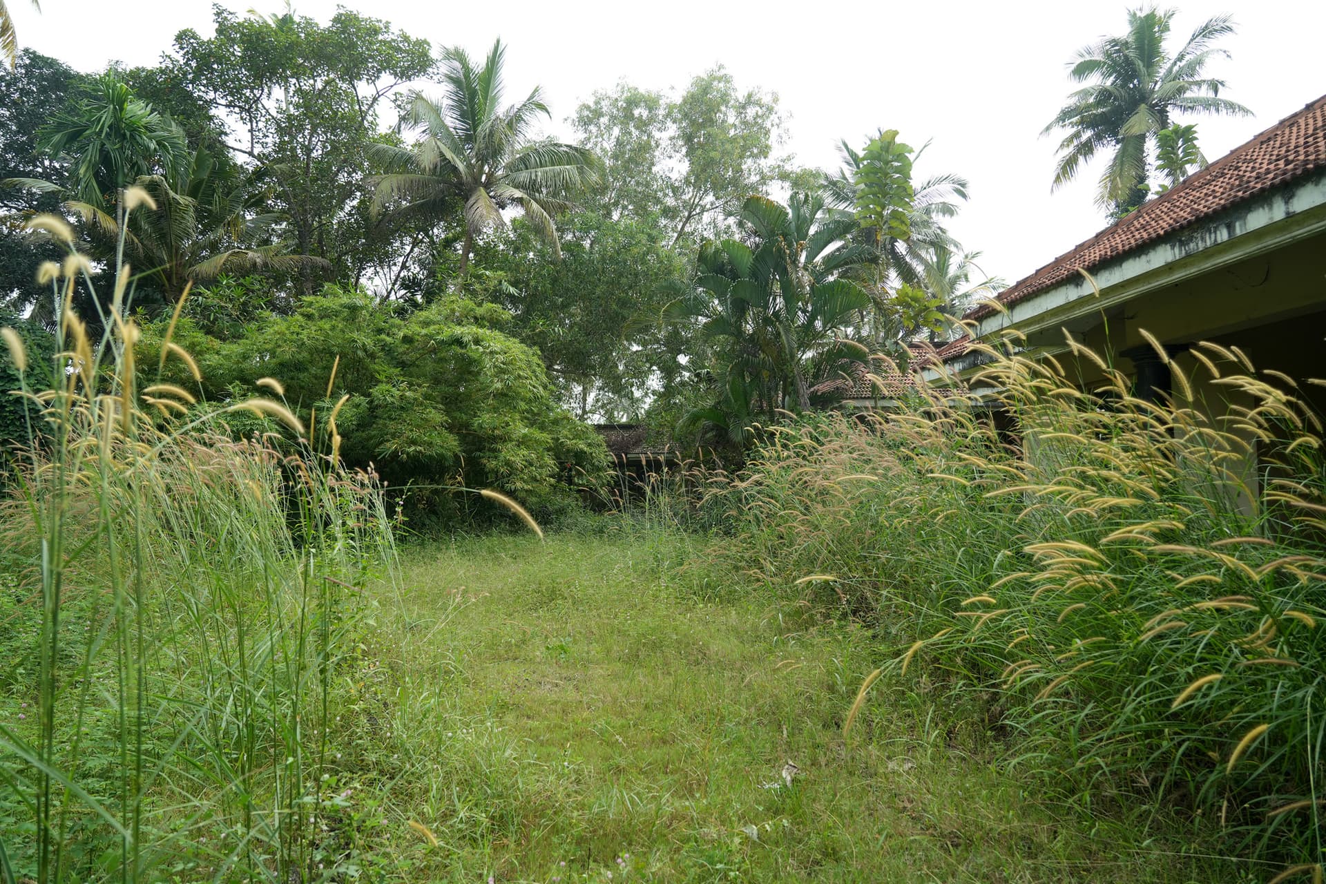 Property Photos 22