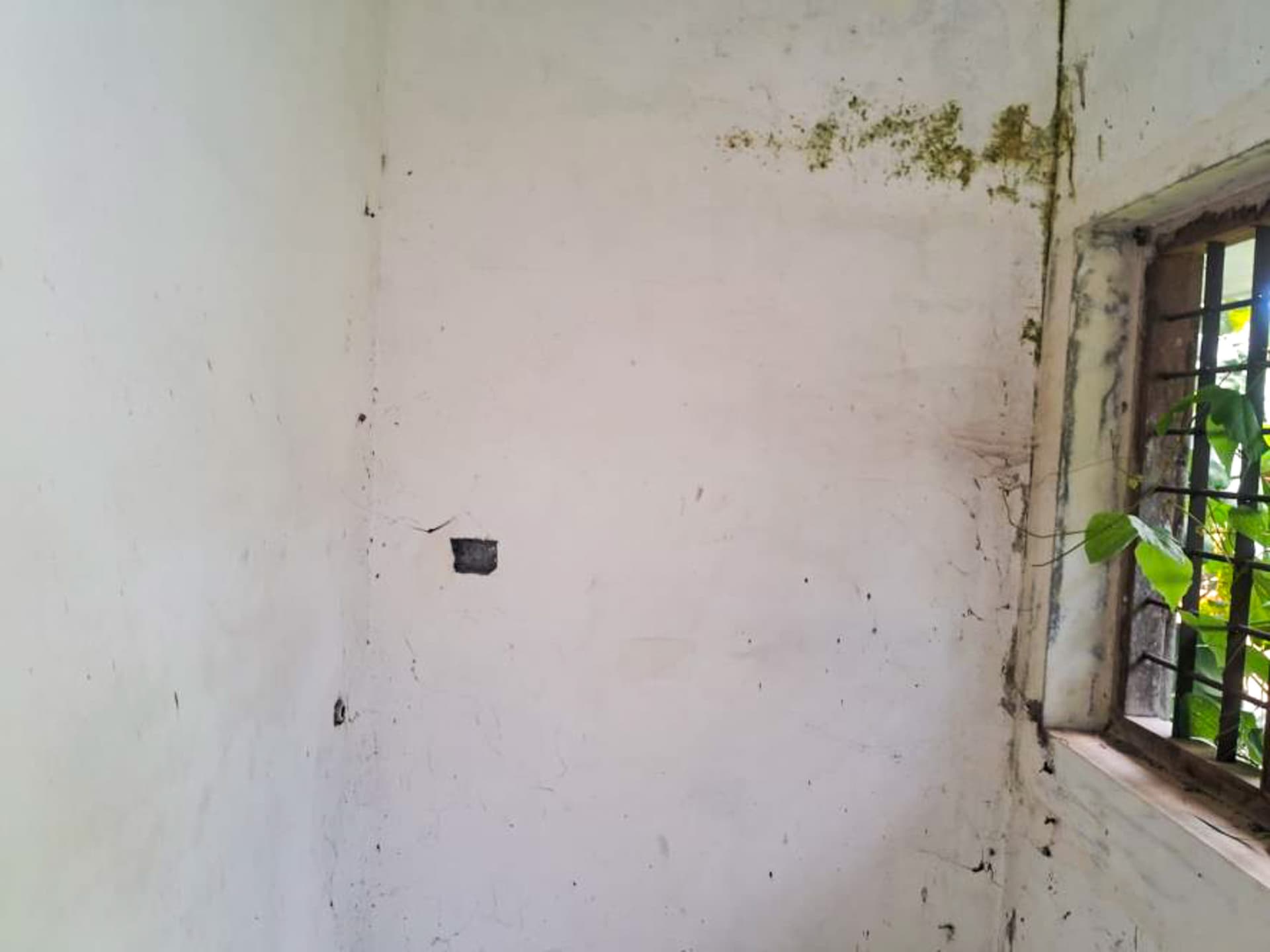 Property Photos 54