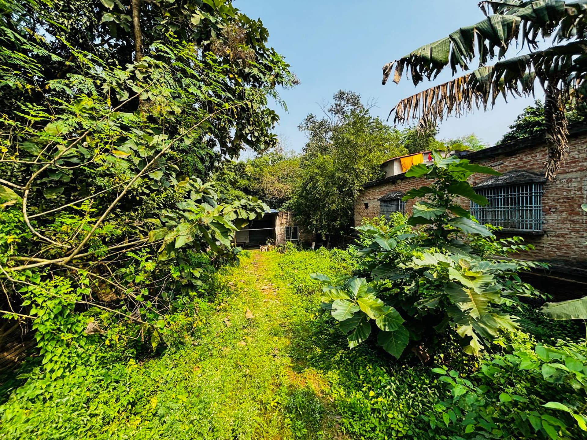 Property Photos 6