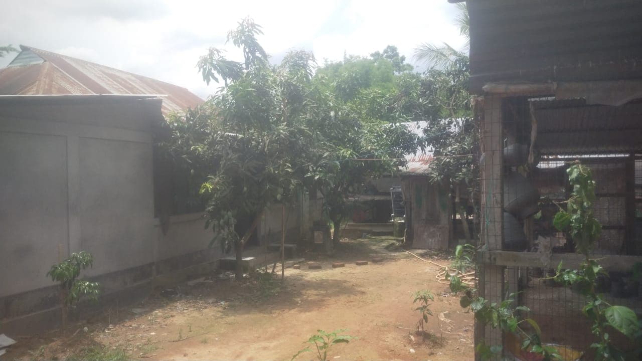 Property Photos 2