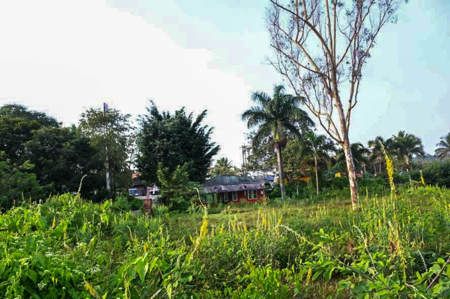 Property Photos 8