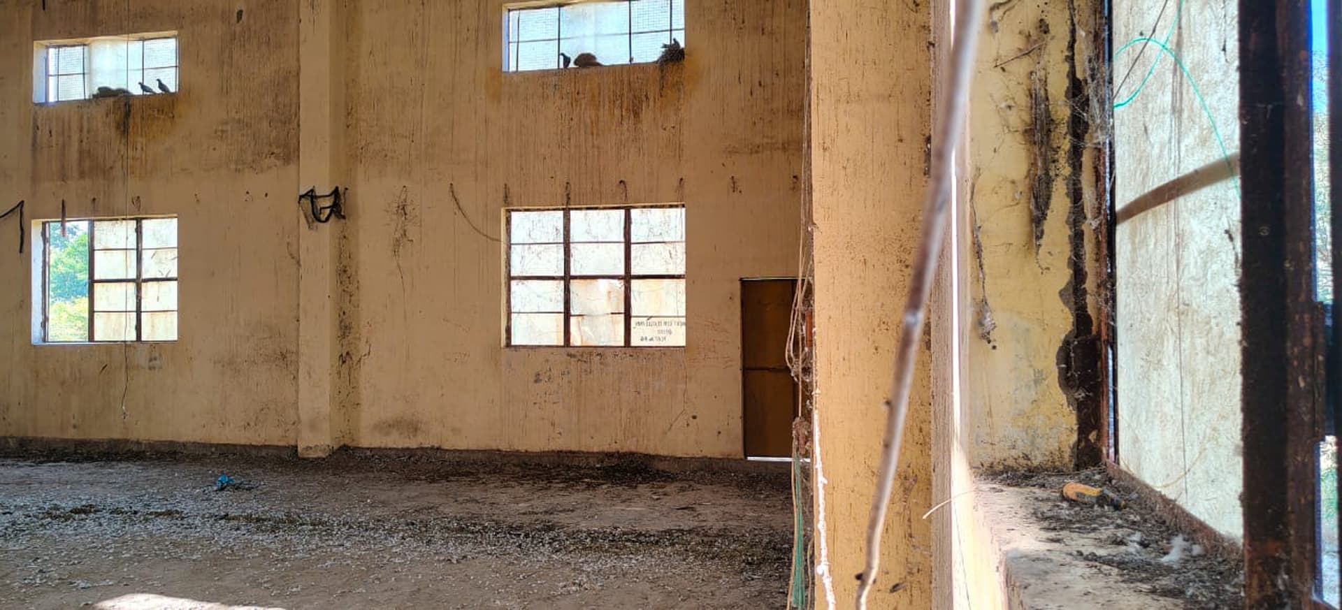 Property Photos 19