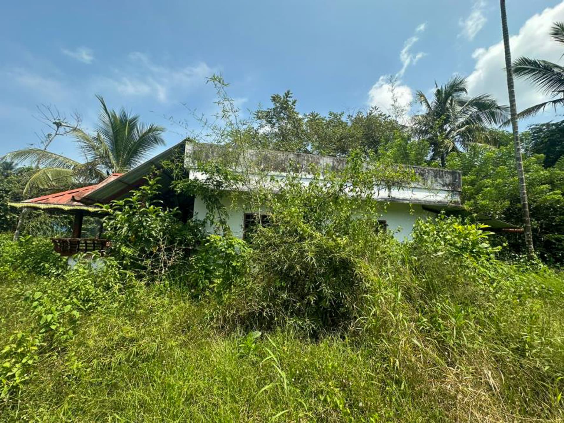 Property Photos 3
