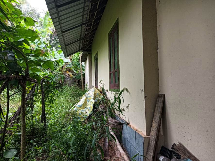 Property Photos 2