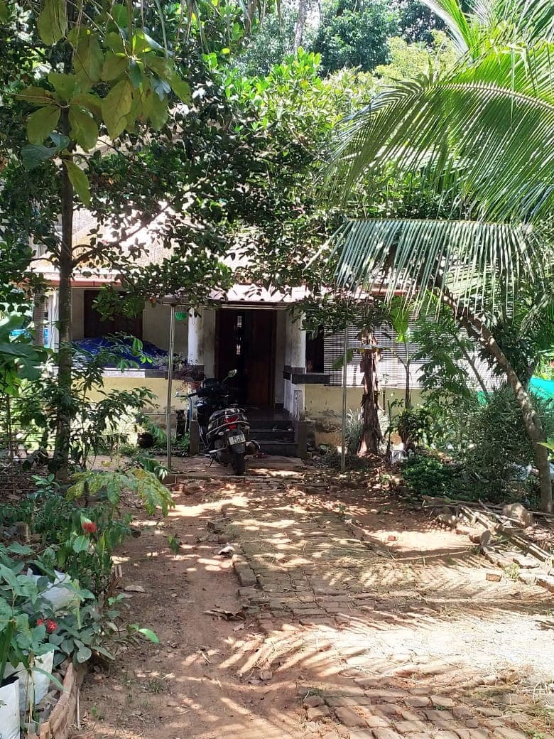 Property Photos 4
