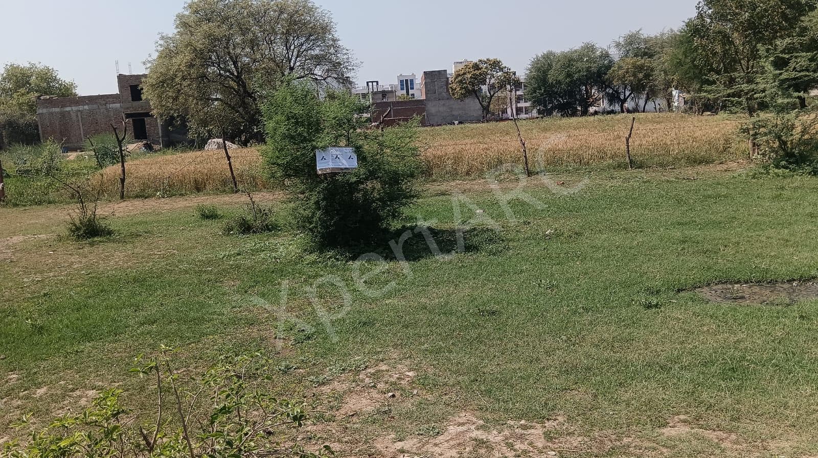 Property Photos 6