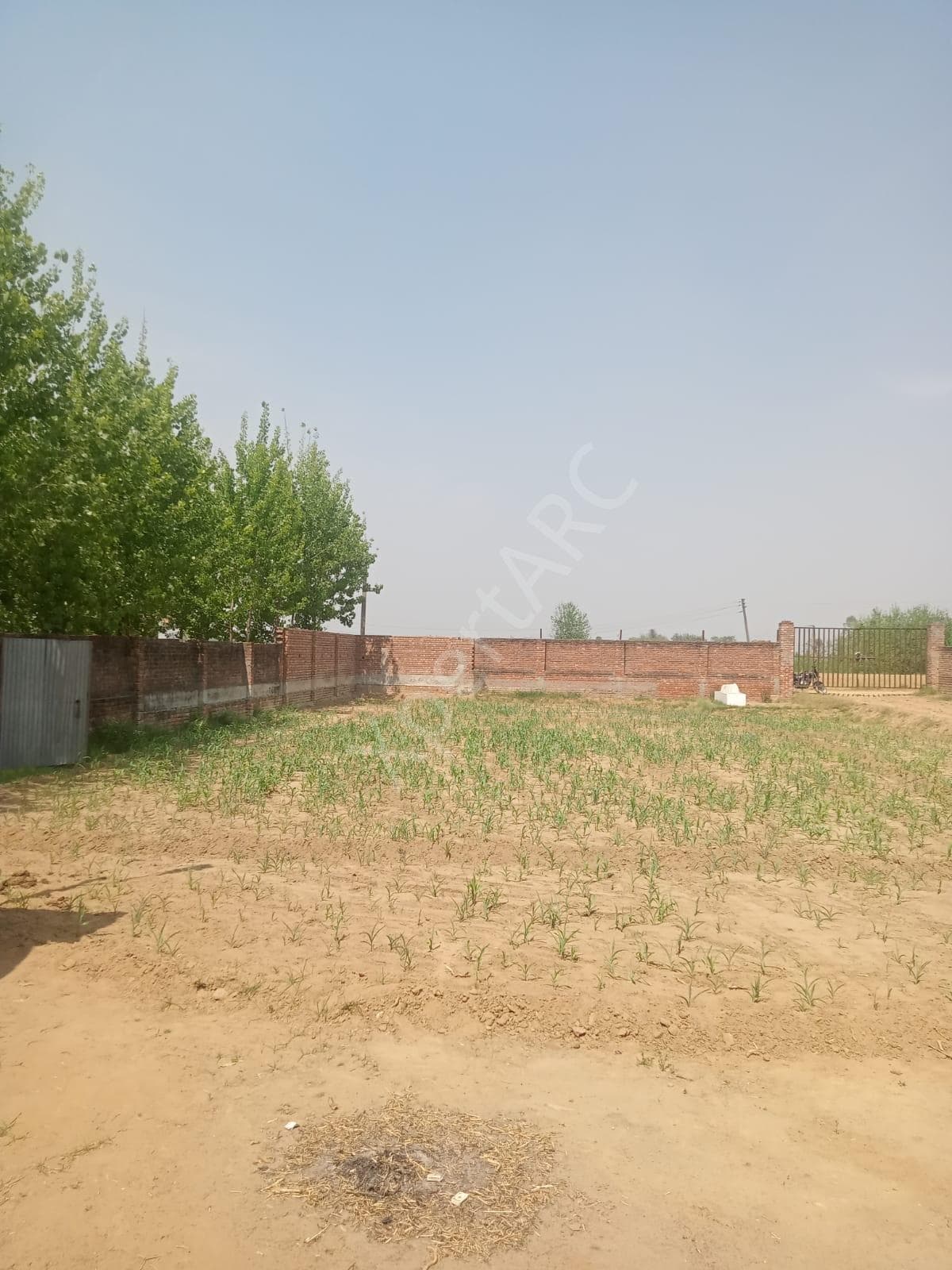 Property Photos 2
