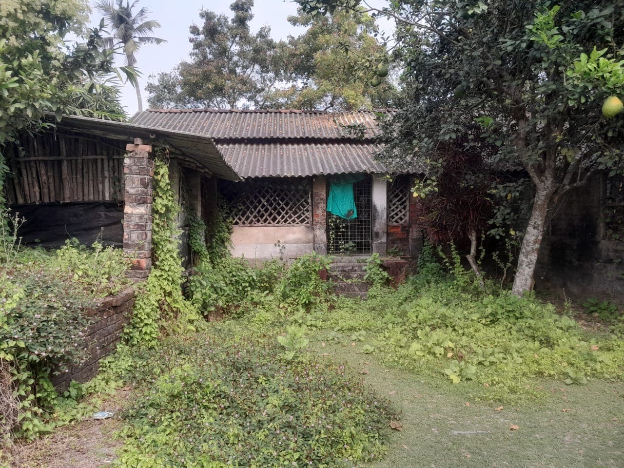 Property Photos 2