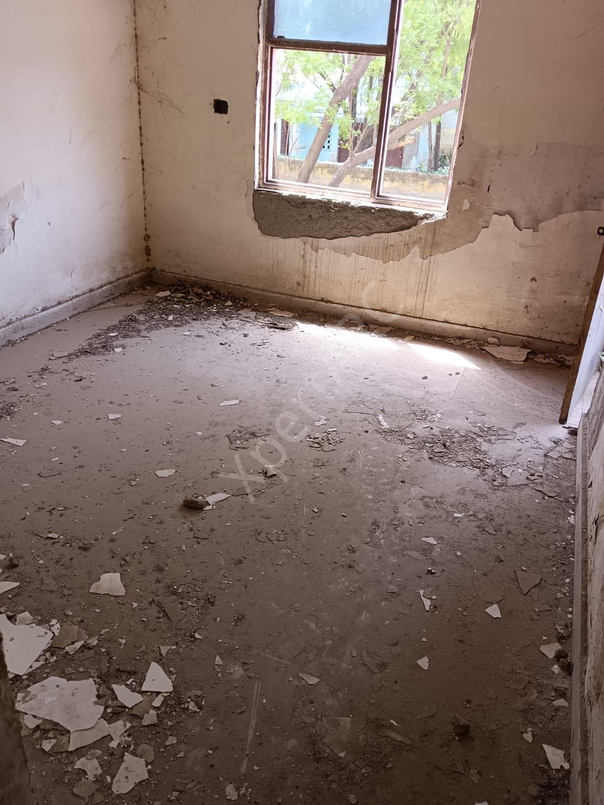Property Photos 23