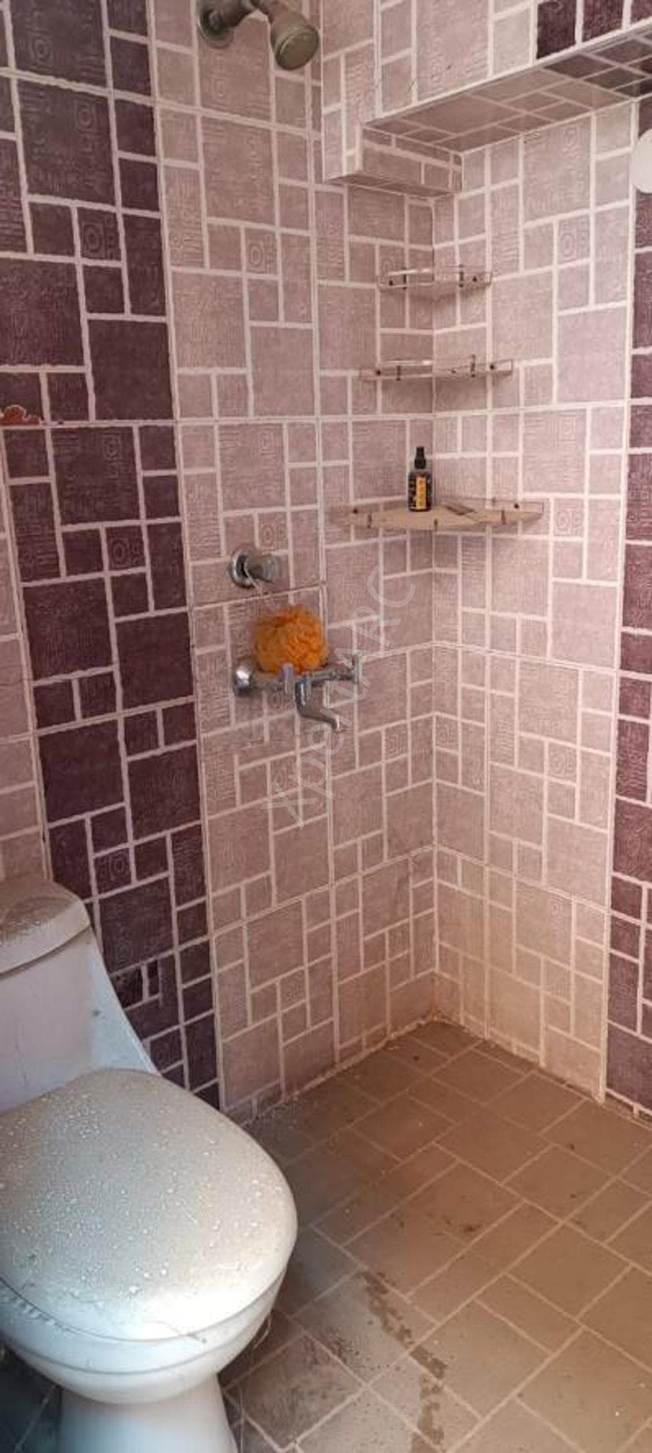 Property Photos 8