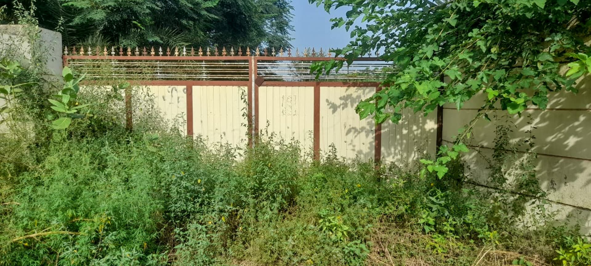 Property Photos 7