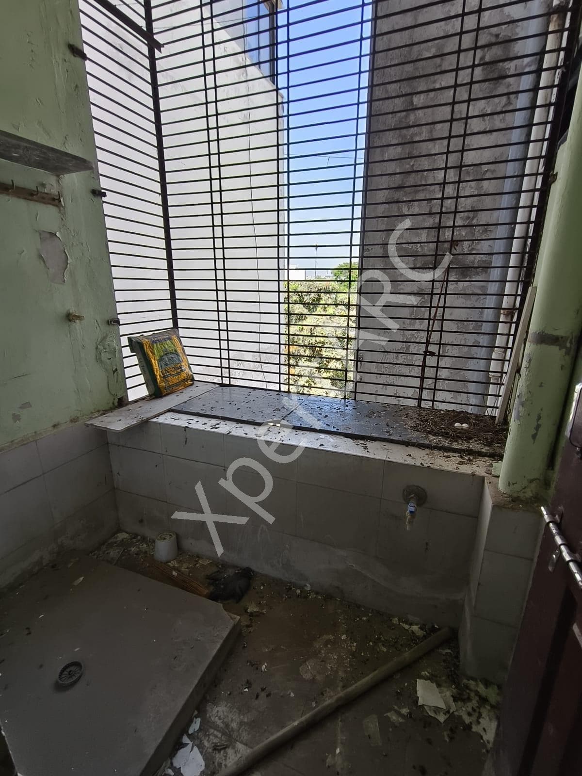 Property Photos 21
