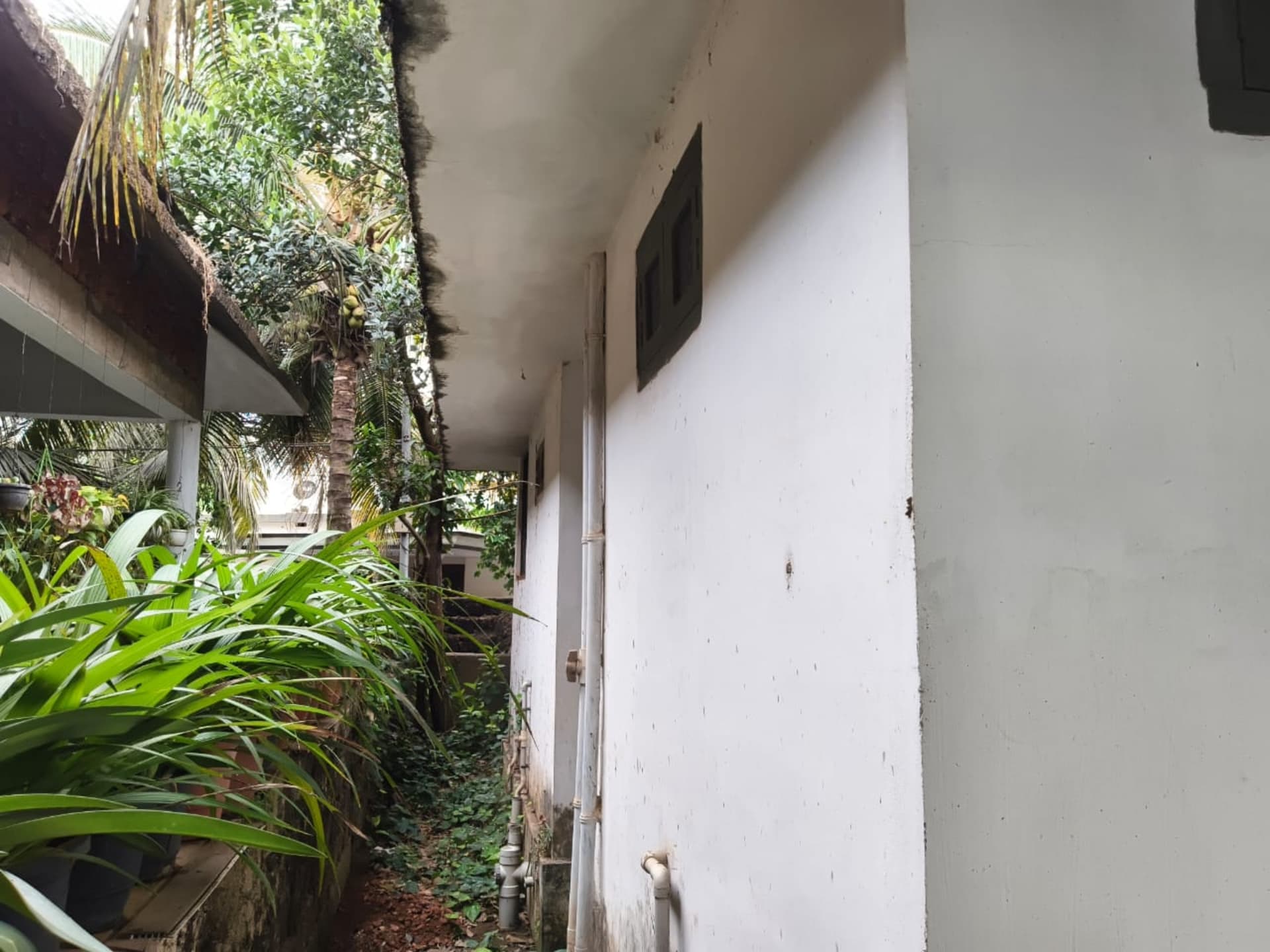 Property Photos 6