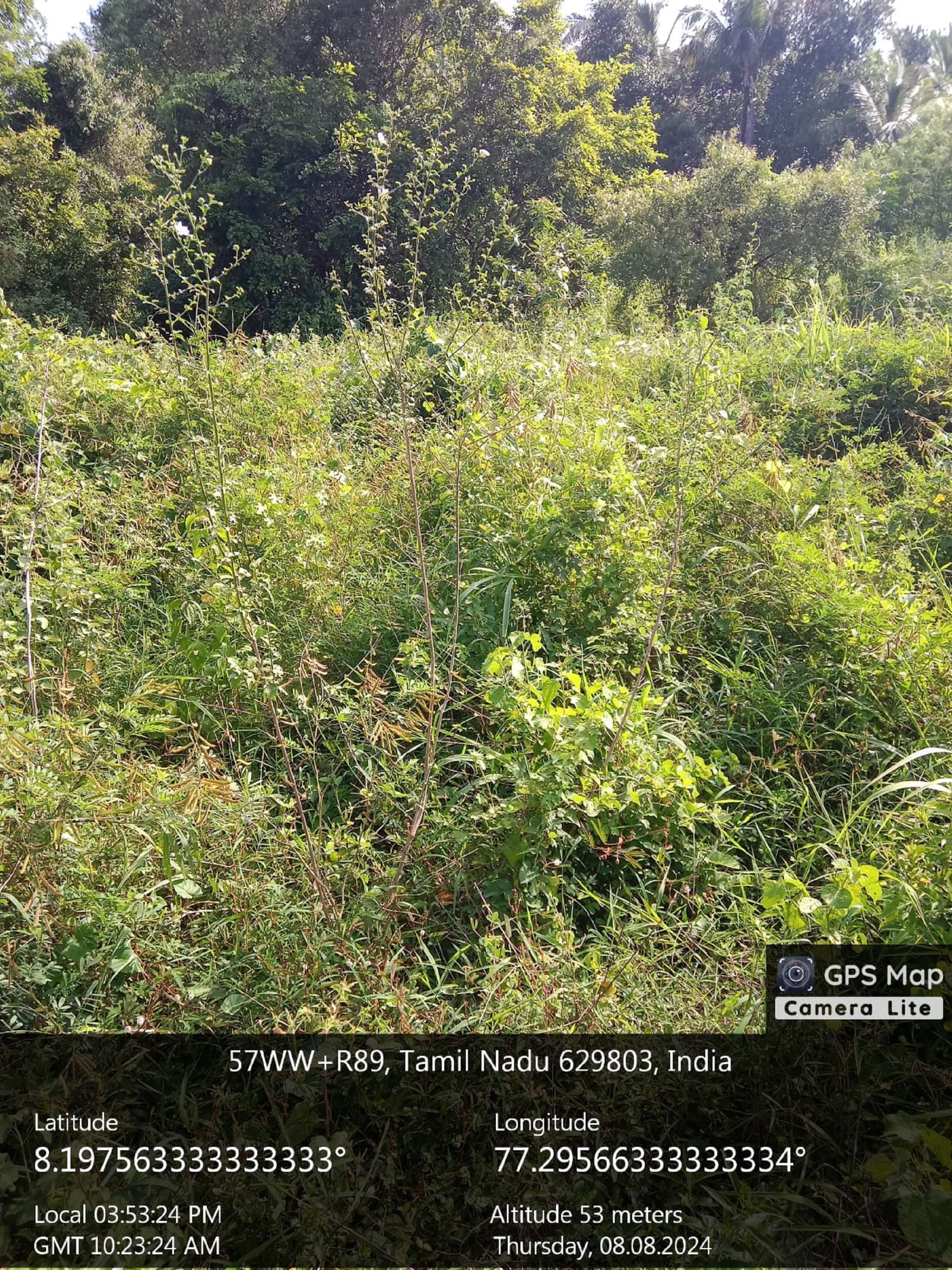 Property Photos 2