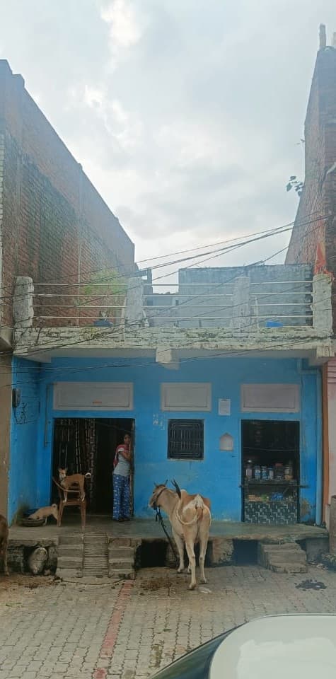 Property Photos 2