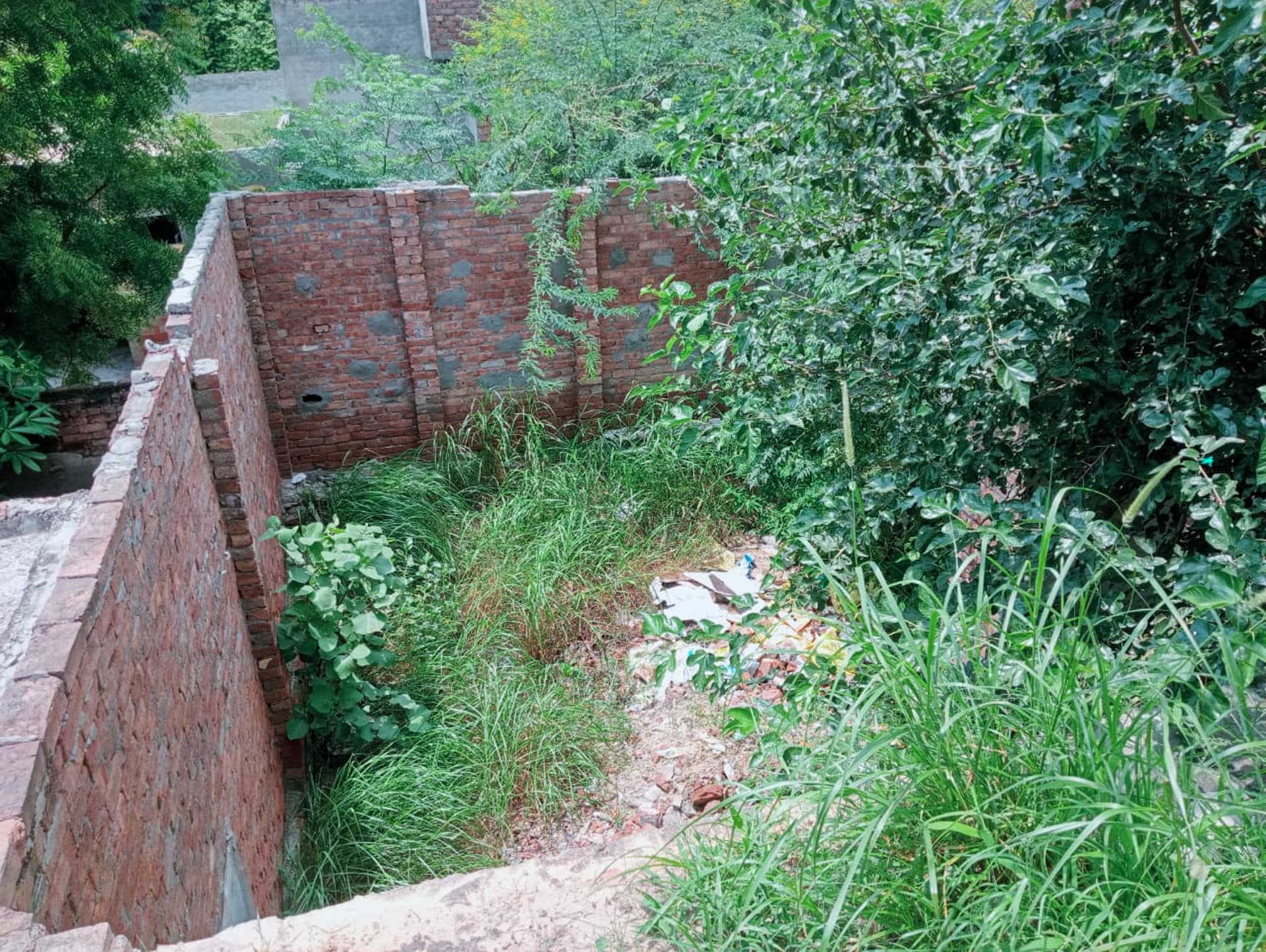Property Photos 47