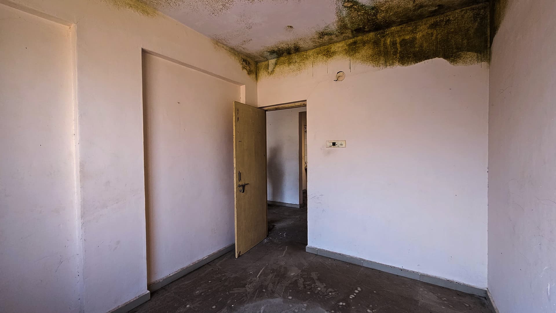 Property Photos 30