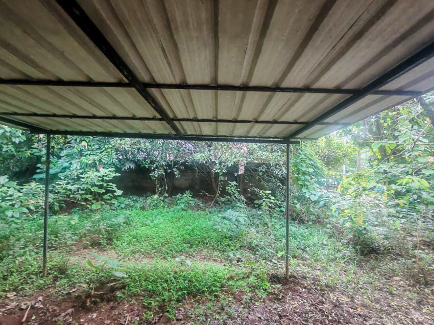 Property Photos 64
