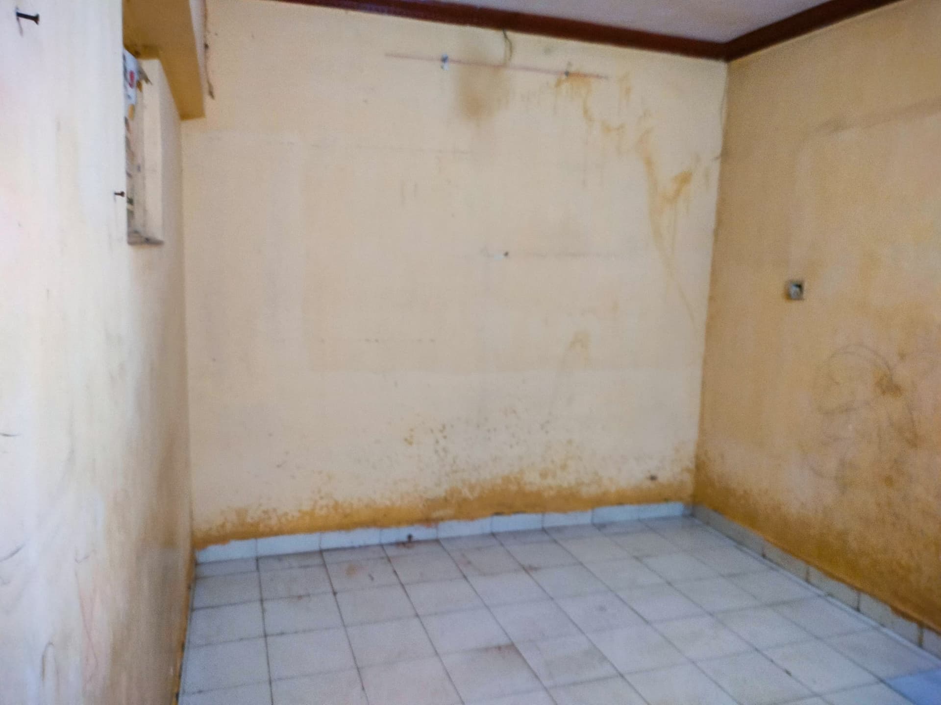 Property Photos 4