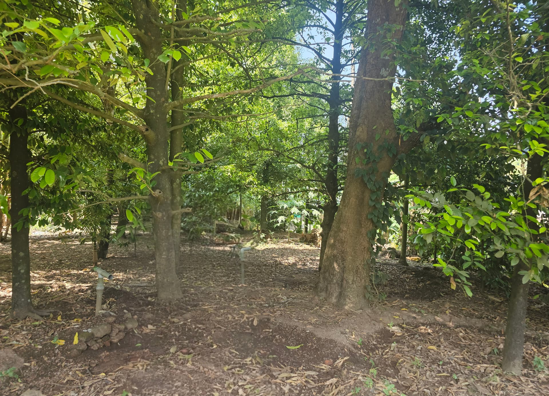 Property Photos 2