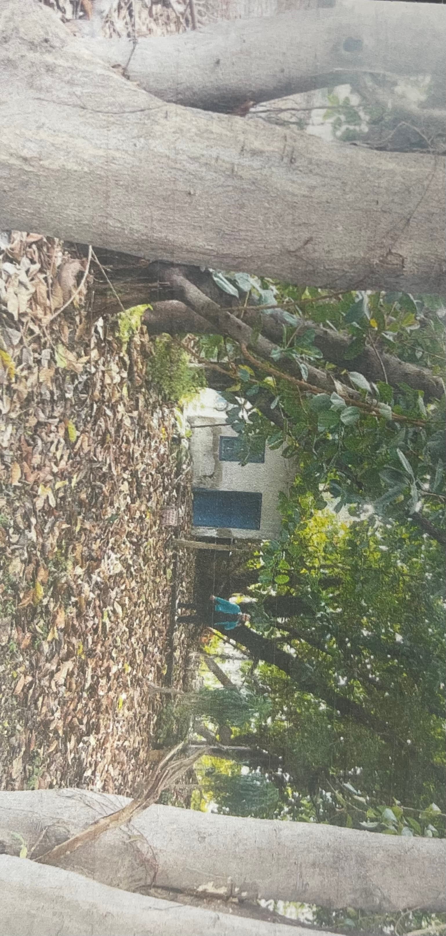 Property Photos 3