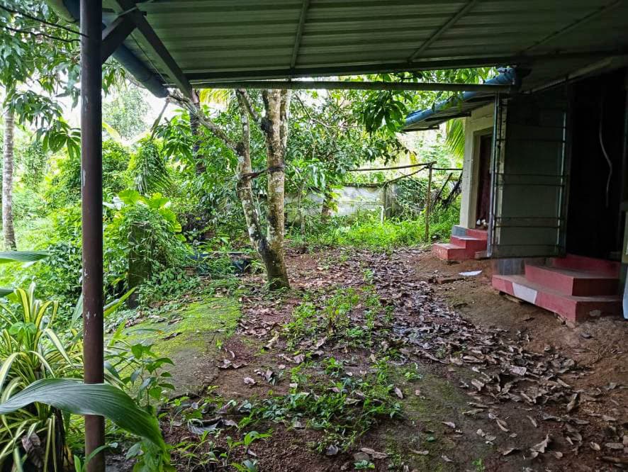 Property Photos 23