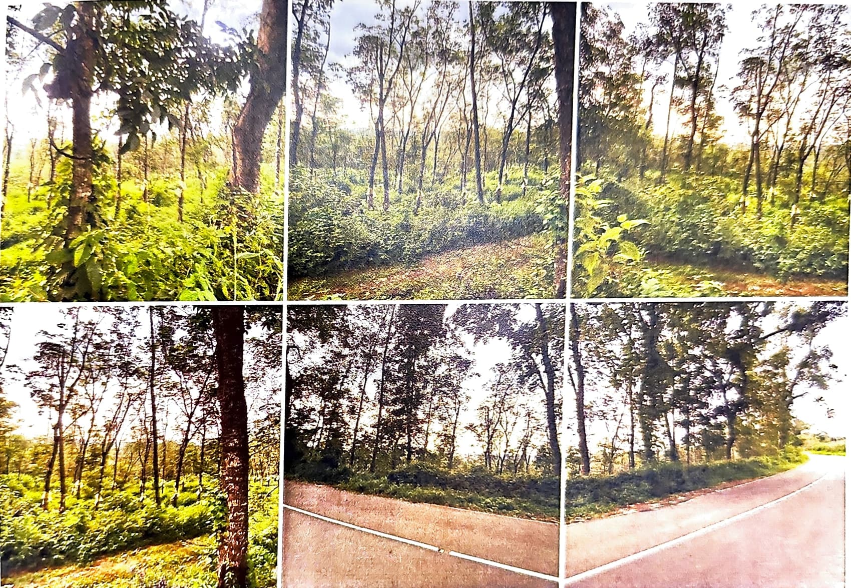 Property Photos 6