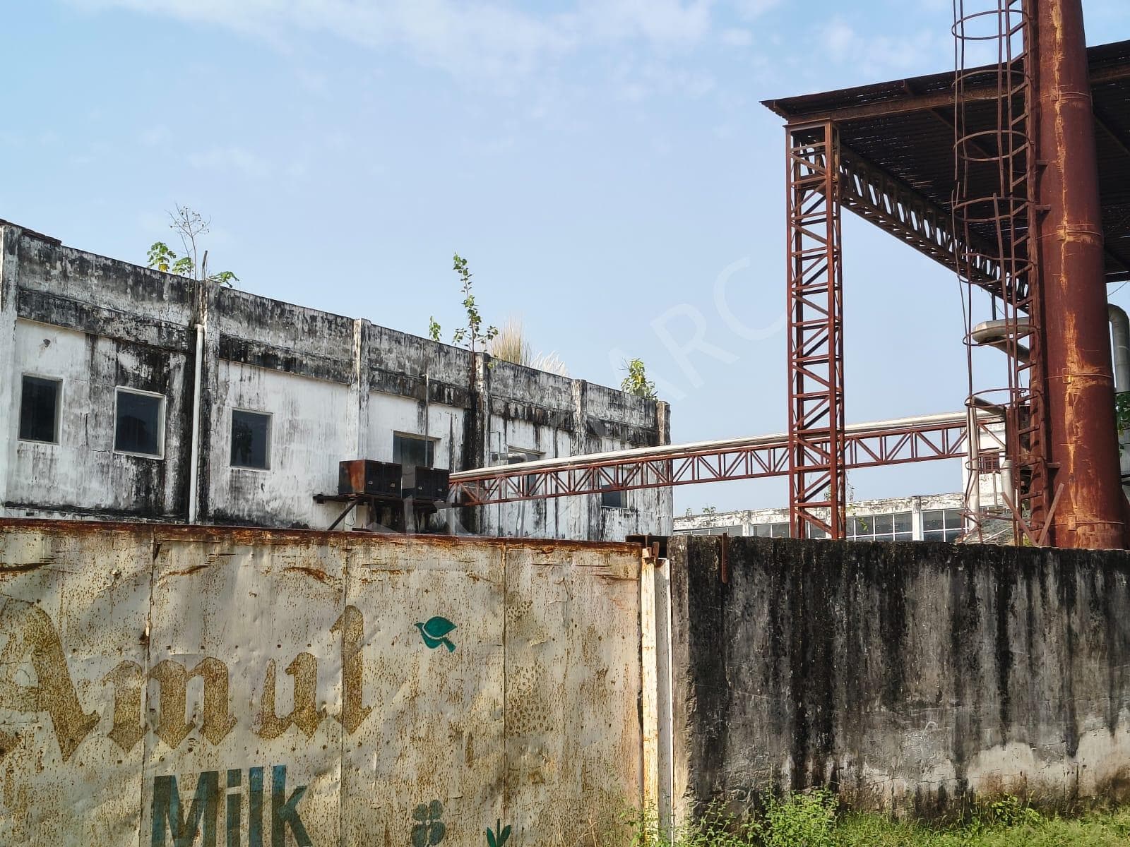Property Photos 4