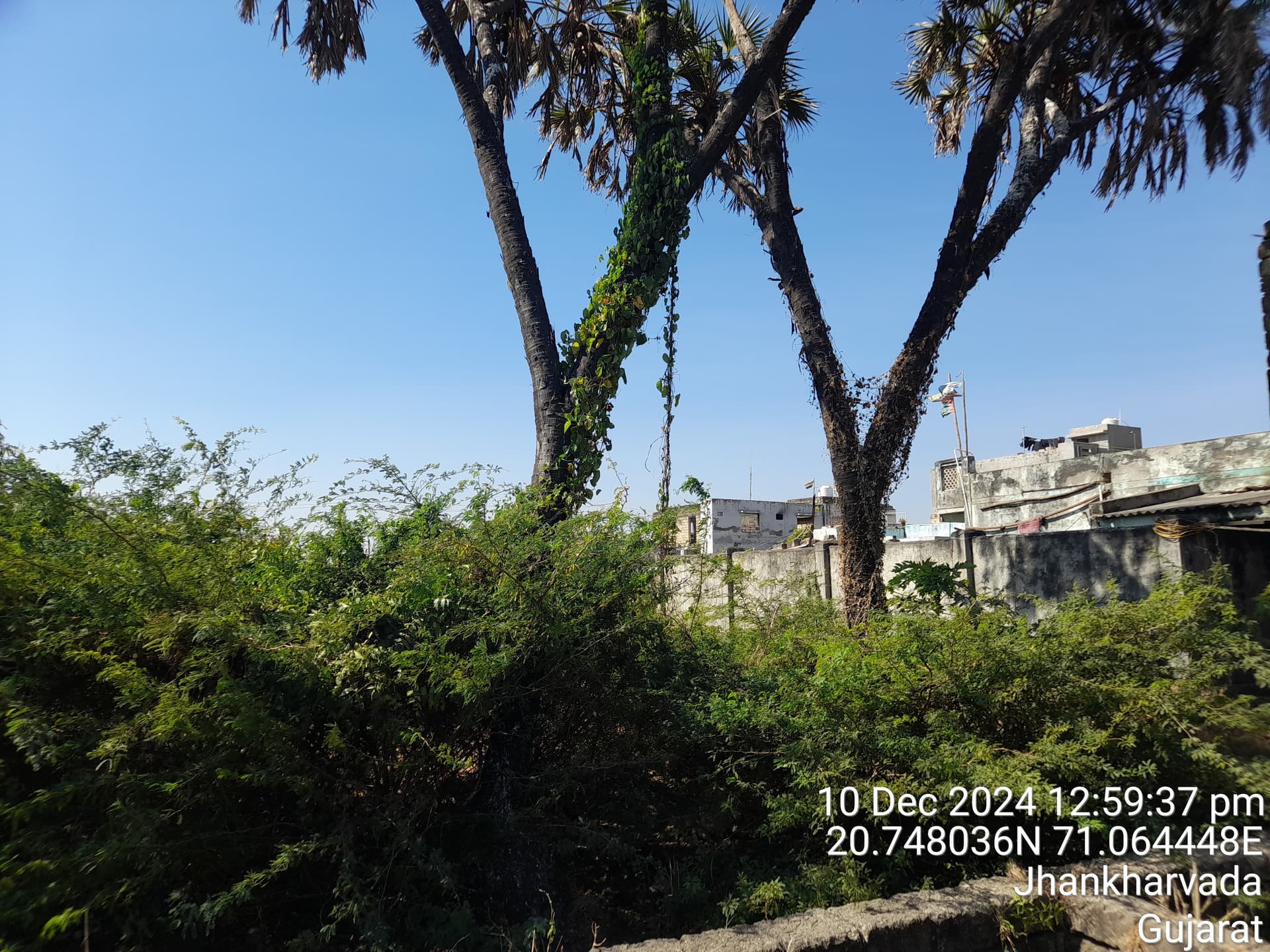 Property Photos 3