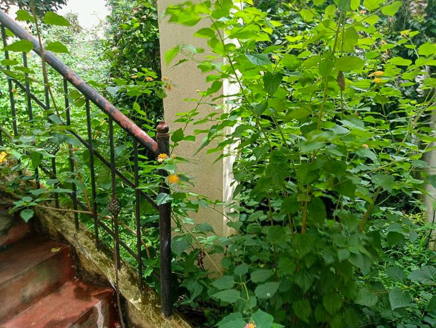 Property Photos 25