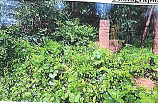 Property Photos 4