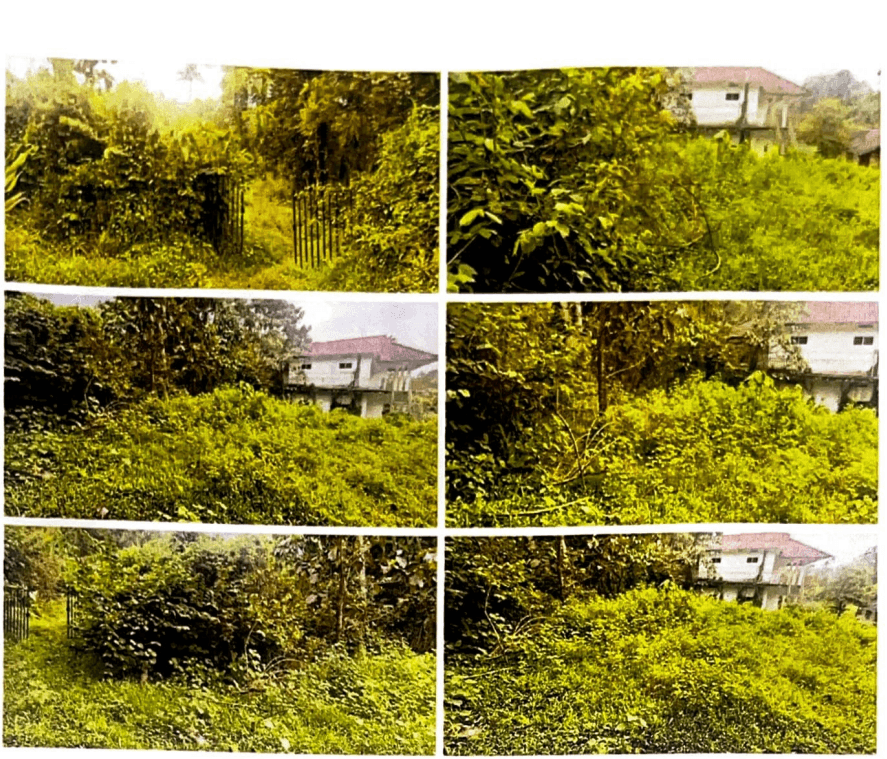 Property Photos 3