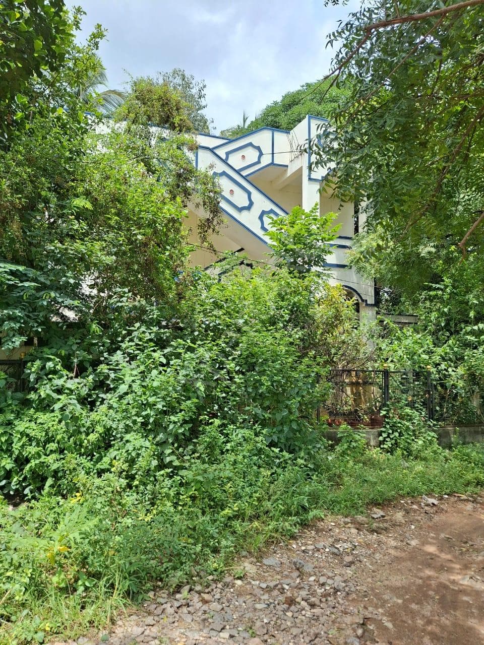 Property Photos 4