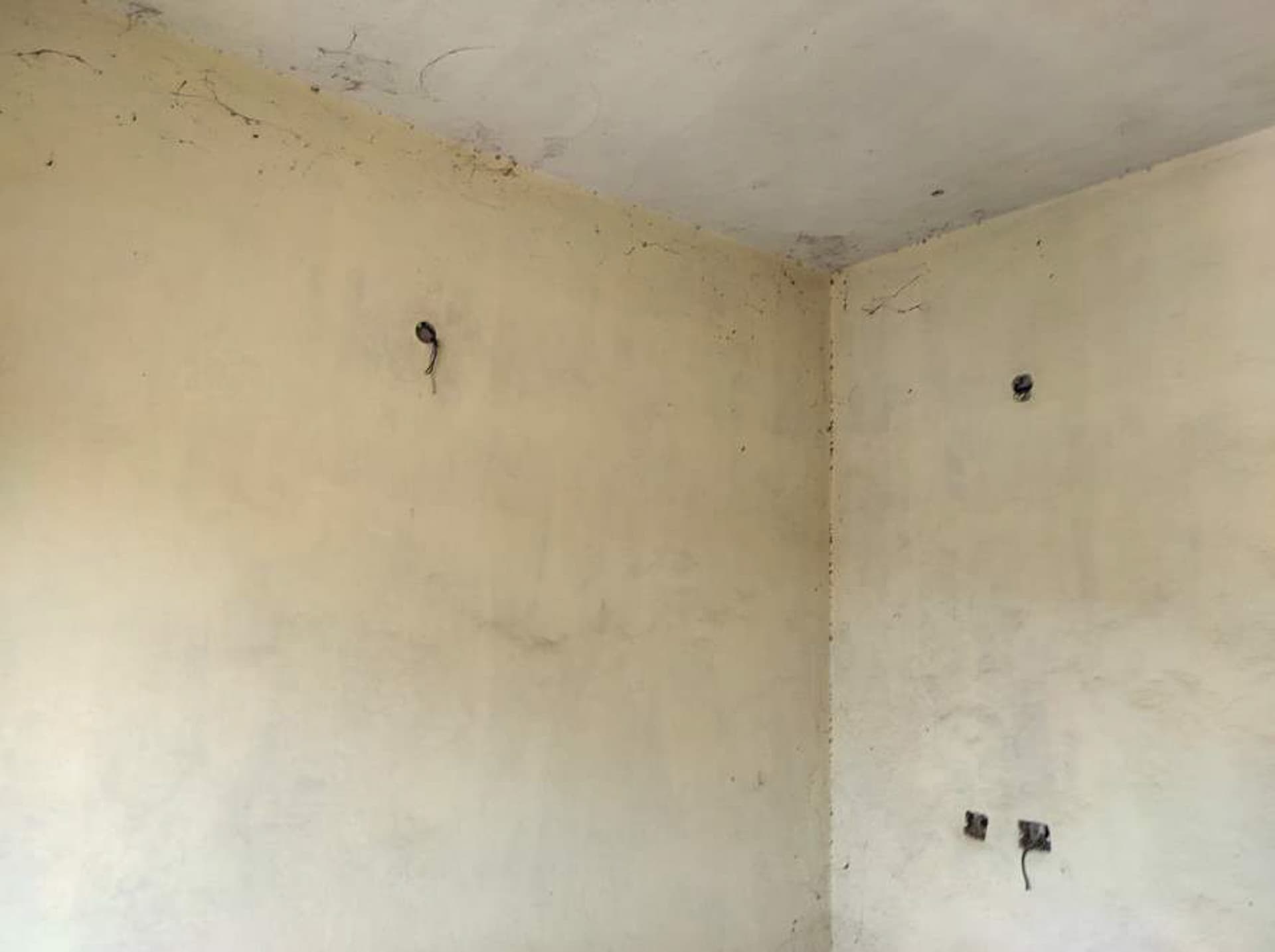 Property Photos 19