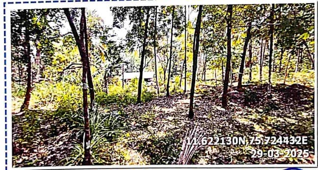 Property Photos 2