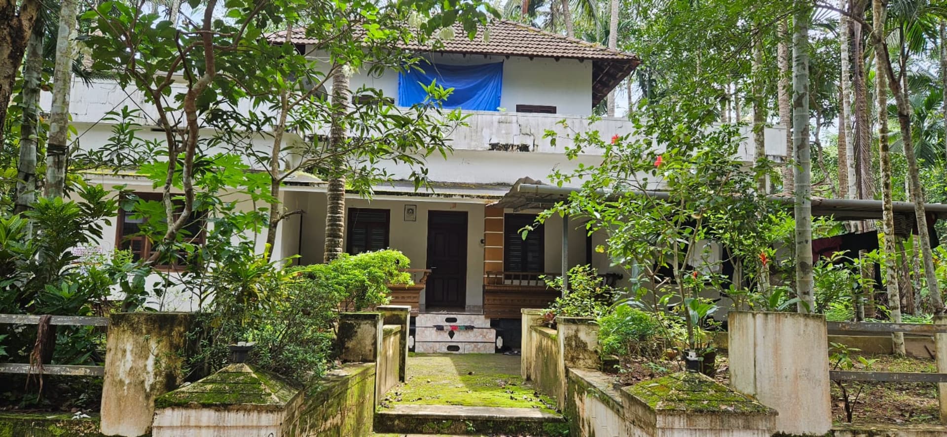 Property Photos 5
