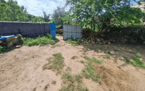 Property Photos 2